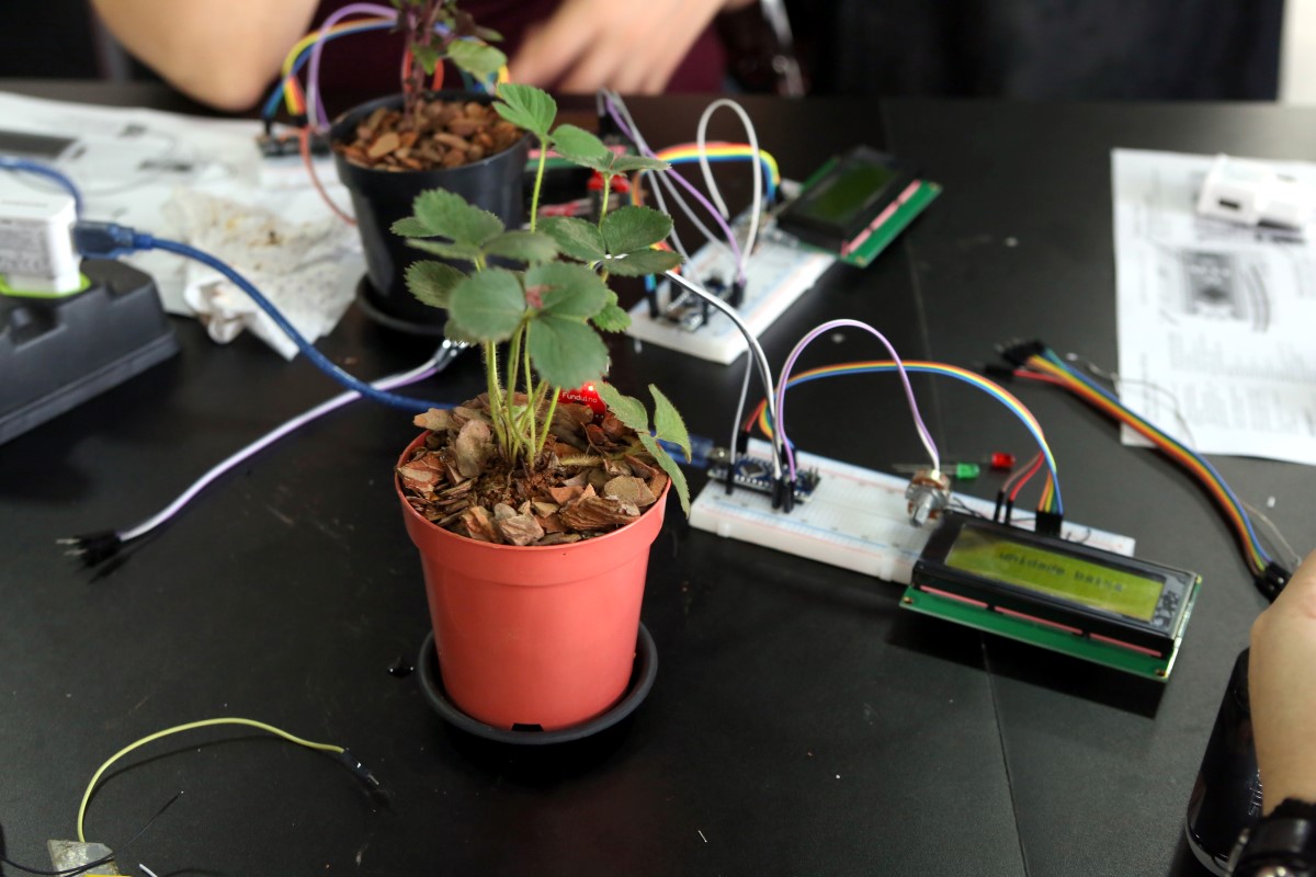 Planta e sistema